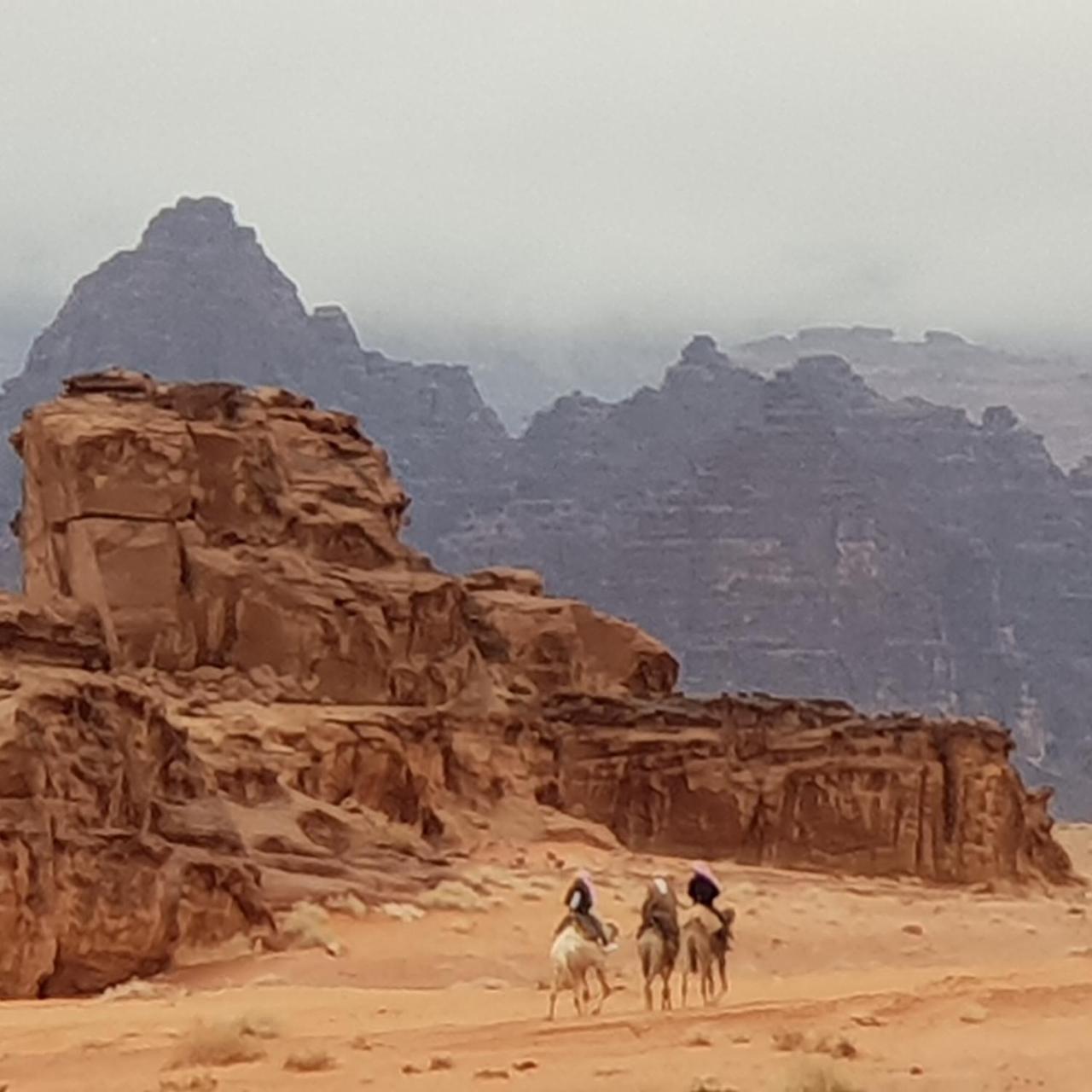 Отель Real Bedouin Experience Tours & Camp Вади-Рам Экстерьер фото